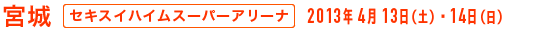 宮城 - セキスイハイムスーパーアリーナ