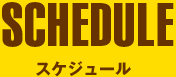スケジュール